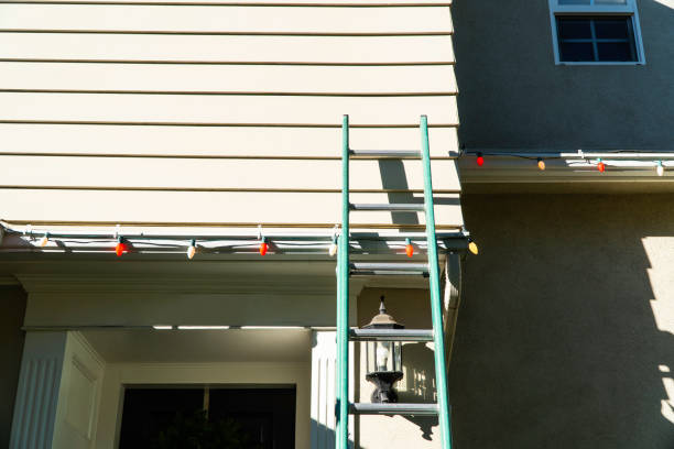 Best Vinyl Siding Installation  in USA